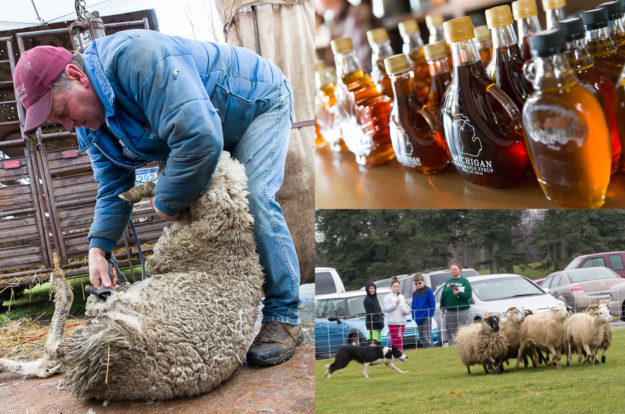 Sugaring & Shearing Festival 2017 – Photo Gallery