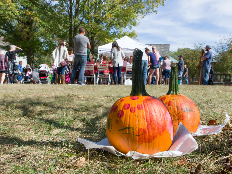 Fall Harvest Festival 2017 | Photo Gallery