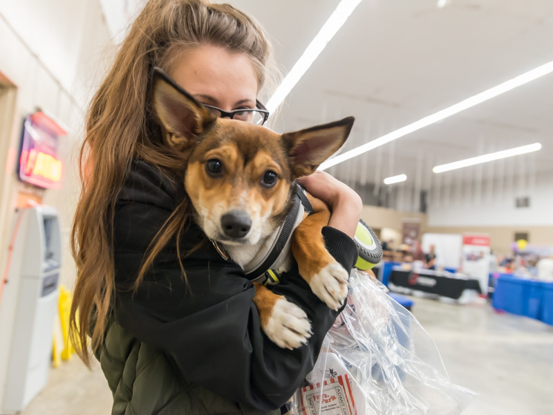 Paws & Claws Expo 2018 | Photo Gallery