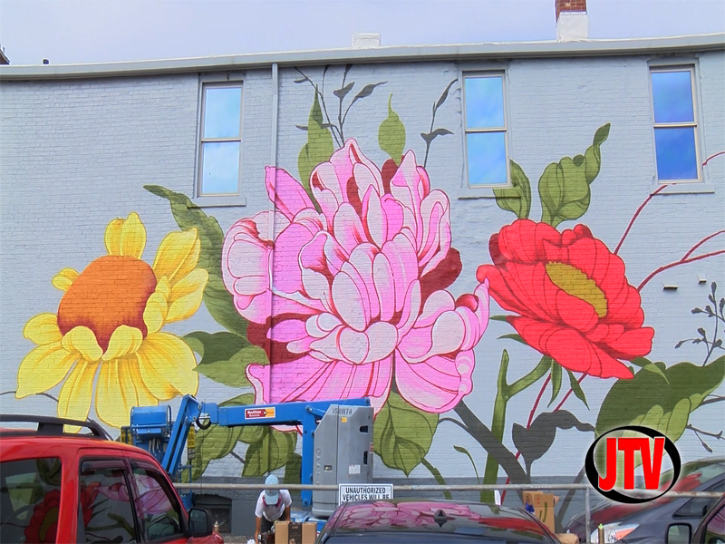 Bart Interviews “Ouizi” for Bright Walls Mural Festival Preview - JTV ...