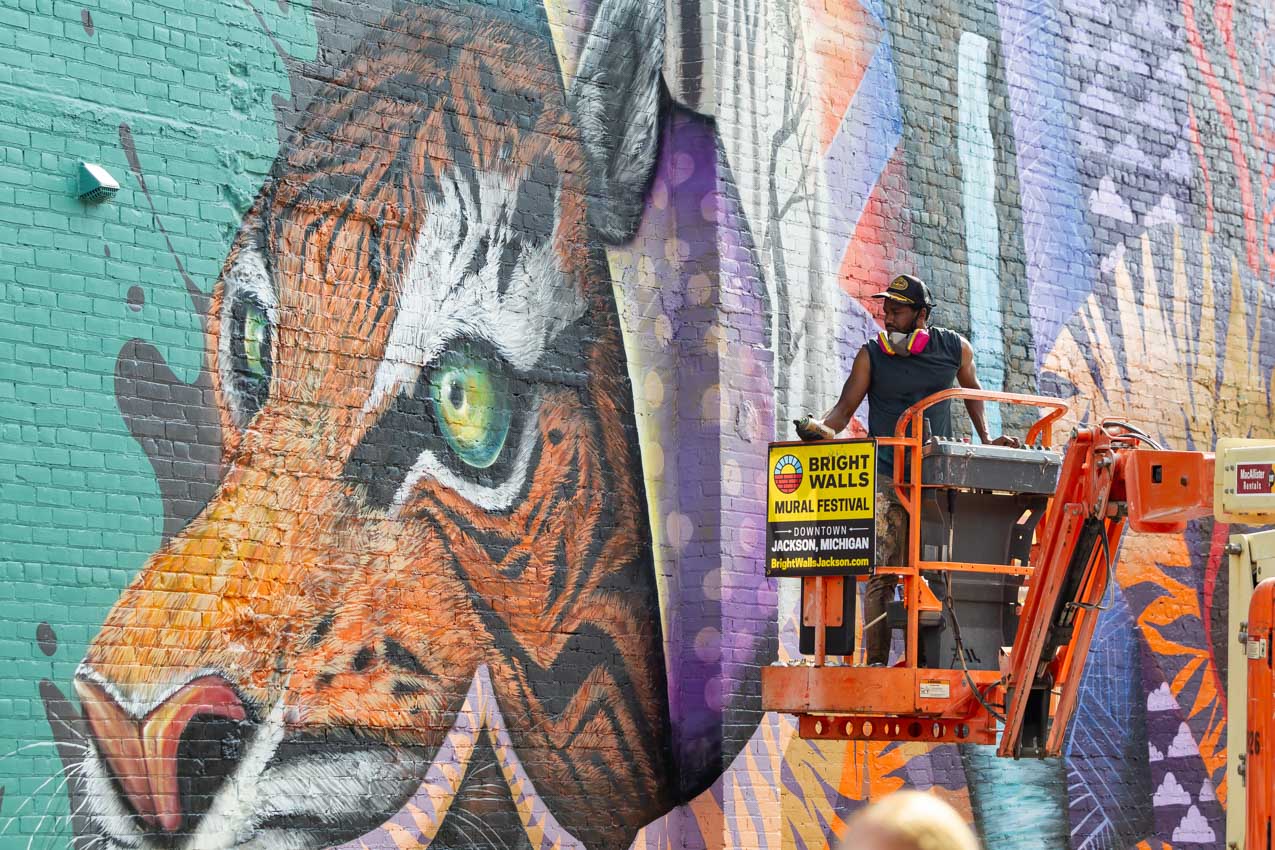 Bright Walls Mural Festival Last Day | Photo Gallery