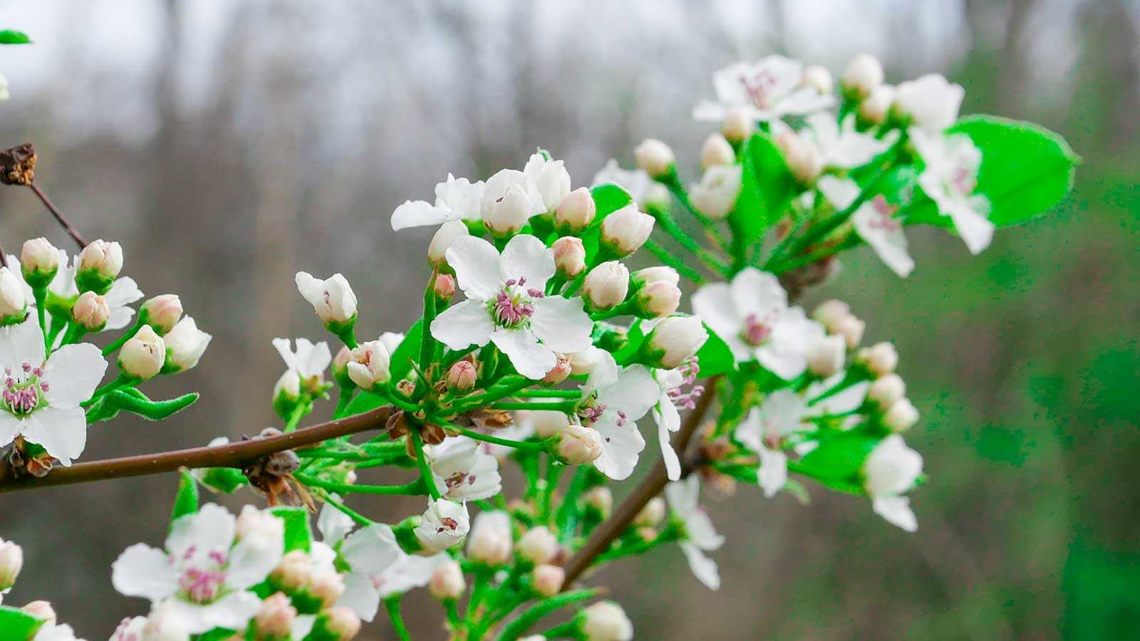 Events of Monday, April 21, 2025