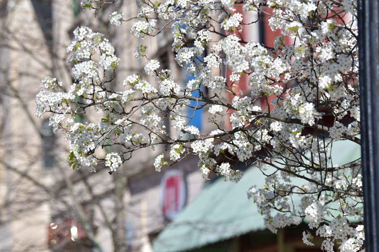Events of Wednesday, April 23, 2025