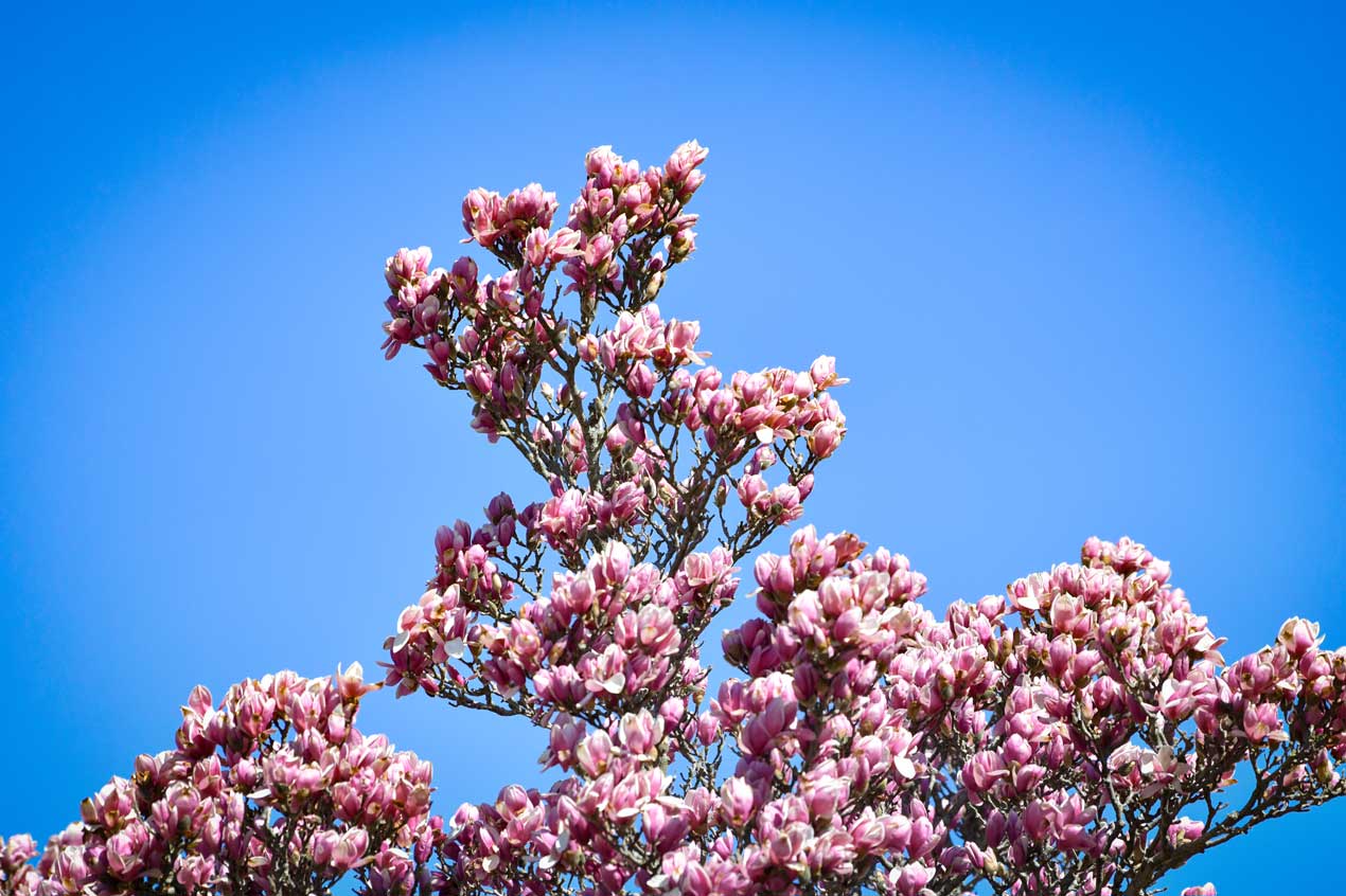 Events of Thursday, April 24, 2025