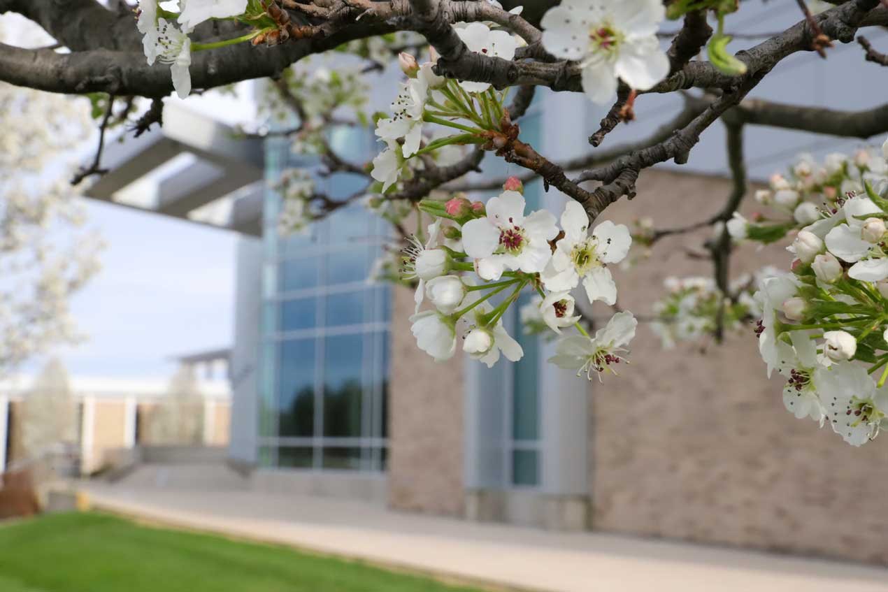 Events of Wednesday, April 30, 2025