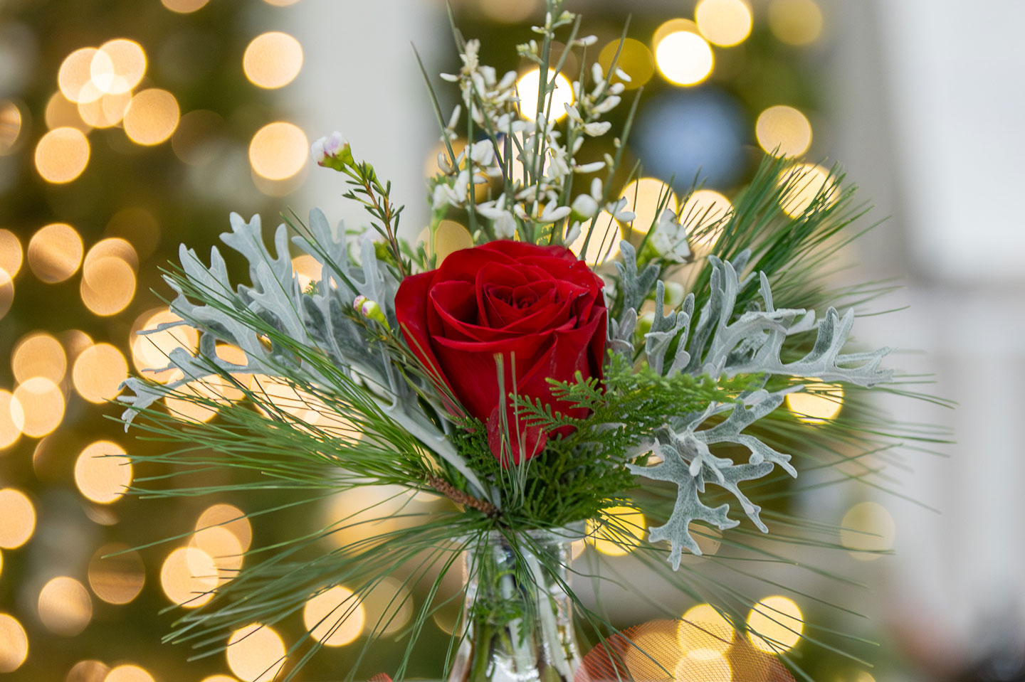 Events of February 13, 14, and 15, 2026