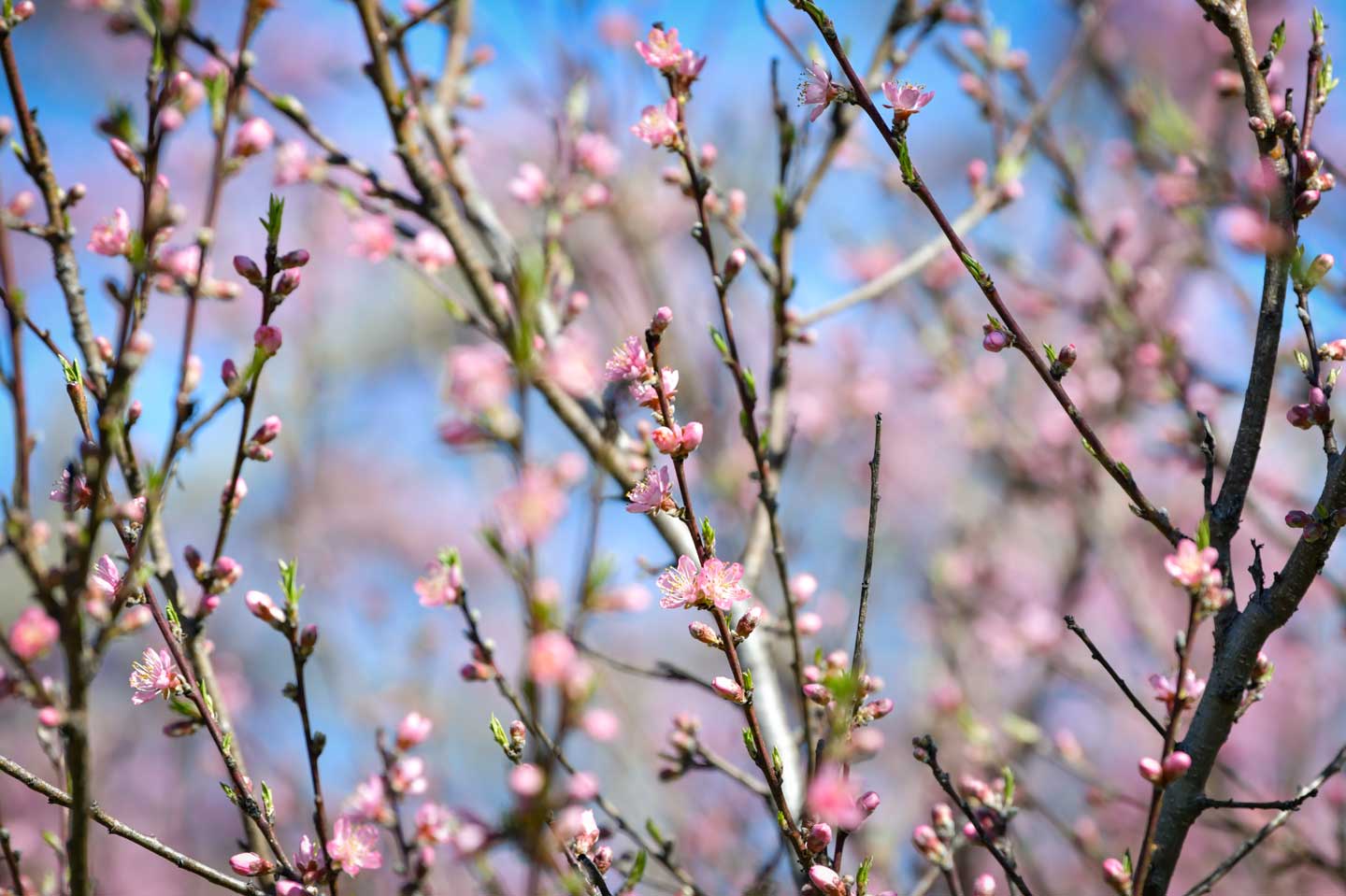 Events of Monday, April 13, 2026